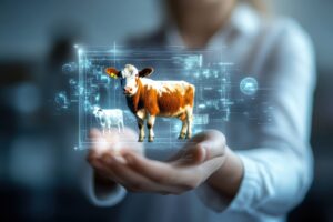 Info4Market - Gestione dell'impresa agroalimentare