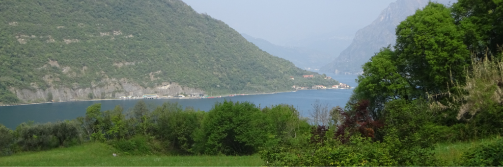 Azienda Agricola Iside successione zootecnica