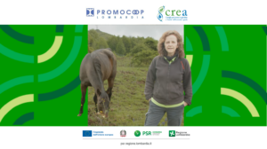 Azienda agricola Bissiniga copertina video