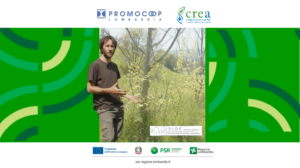 Azienda agricola Iside foraggere