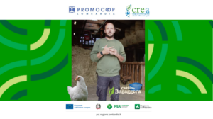 Cascina Bagaggera razza e valorizzazione
