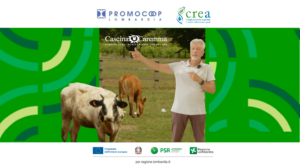 Azienda agricola Cascina Caremma (1)